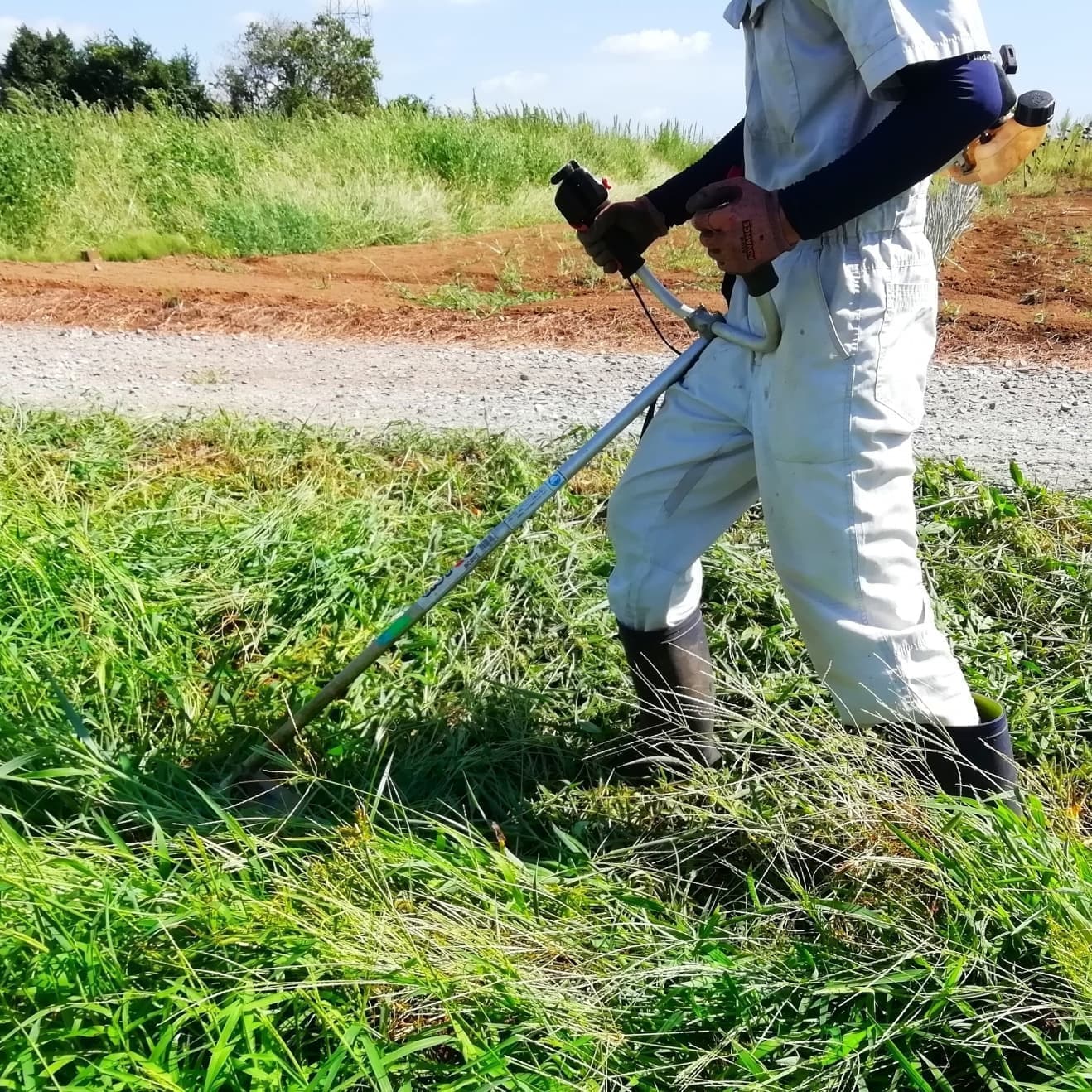 草刈り 半田市 | 半田市で草刈りならお庭の窓口半田市