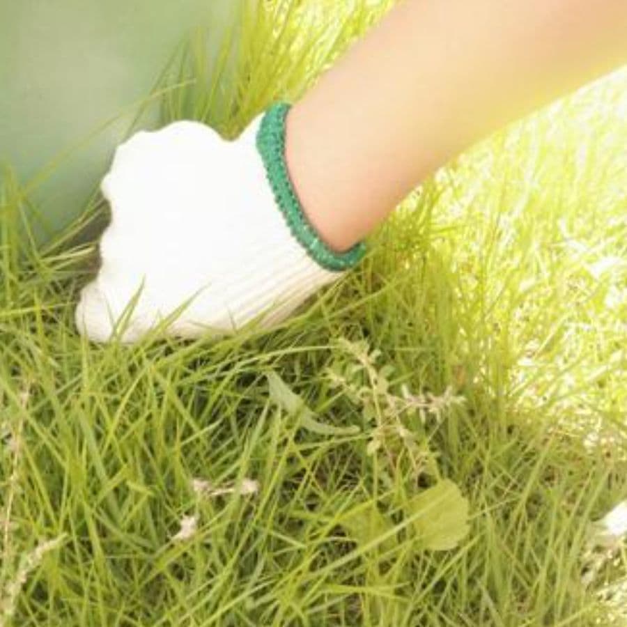 草取り 半田市 | 半田市で草取りならお庭の窓口半田市