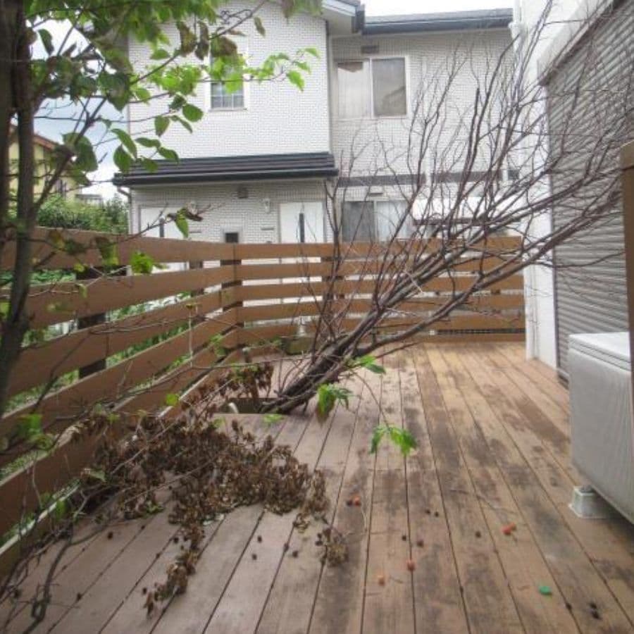 倒木撤去 半田市 | 半田市で庭木の倒木撤去ならお庭の窓口半田市
