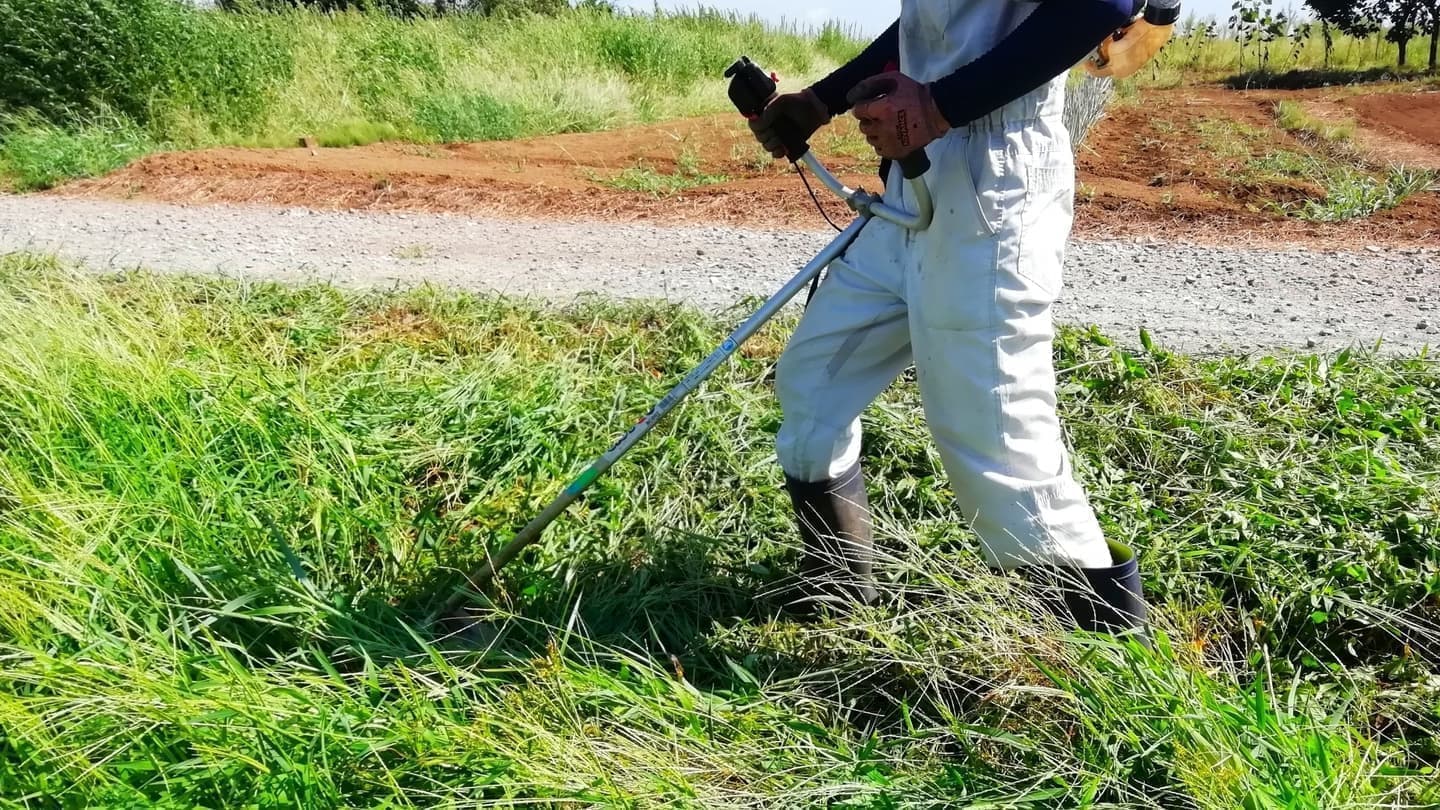 草刈り 半田市 | 半田市で草刈りならお庭の窓口半田市