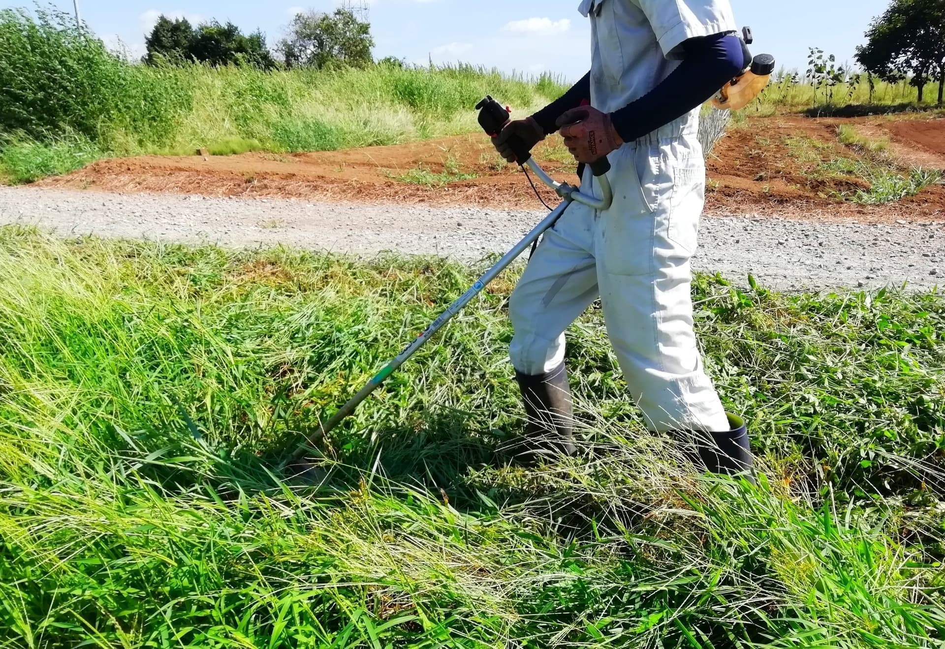草刈り 東海市 | 東海市で草刈りならお庭の窓口東海市