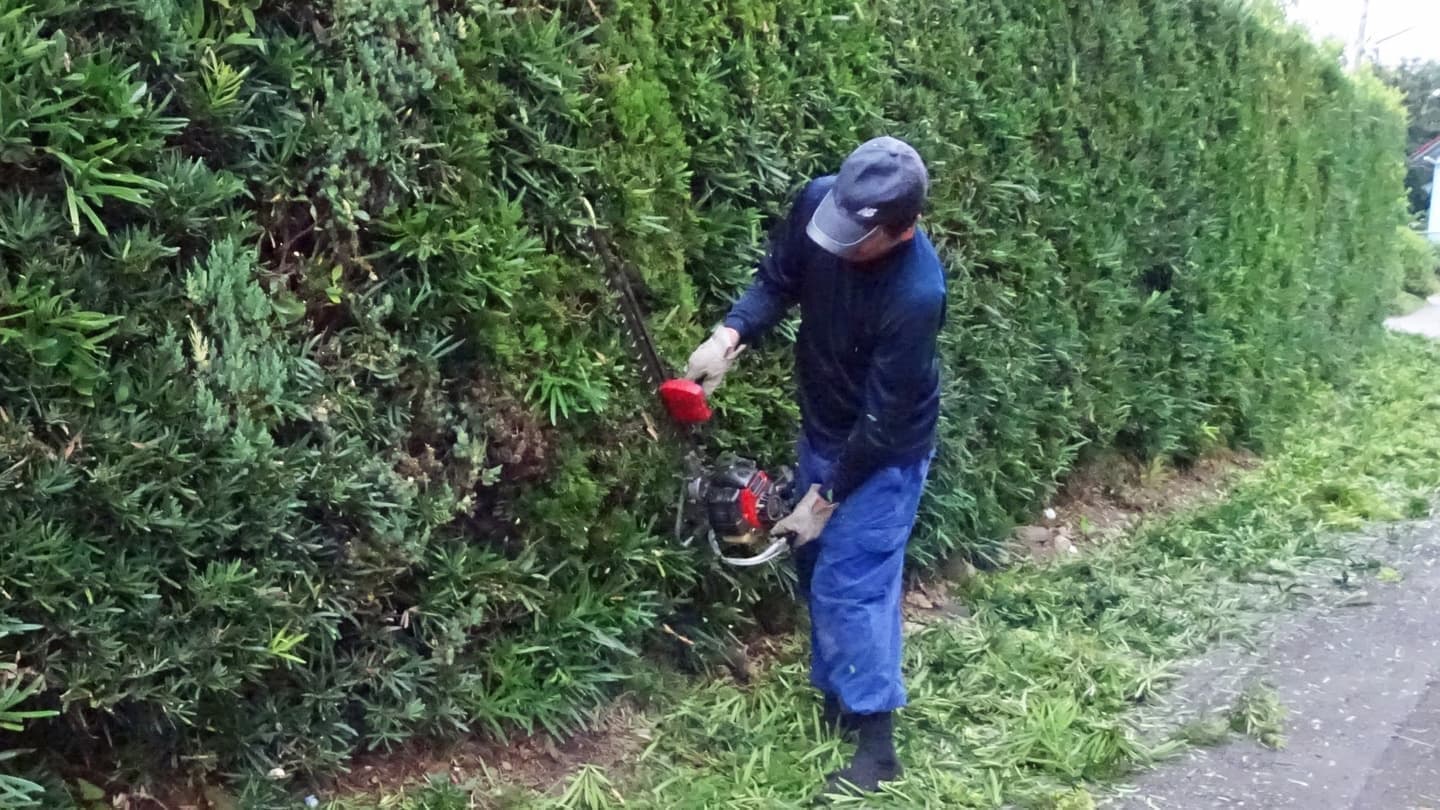 生垣剪定 半田市 | 半田市で生垣剪定ならお庭の窓口半田市
