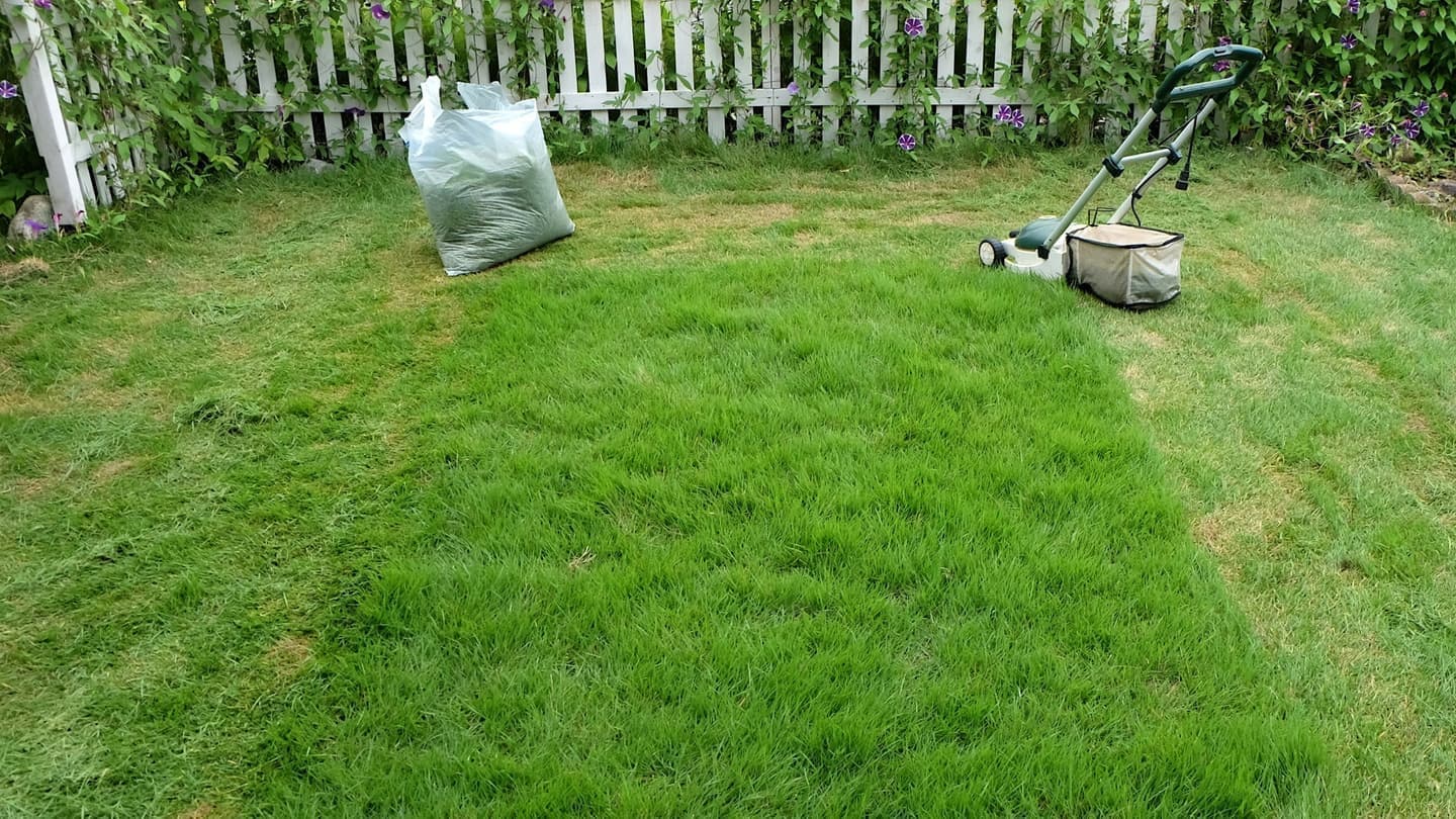 芝生の手入れ 半田市 | 半田市で芝生の手入れならお庭の窓口半田市