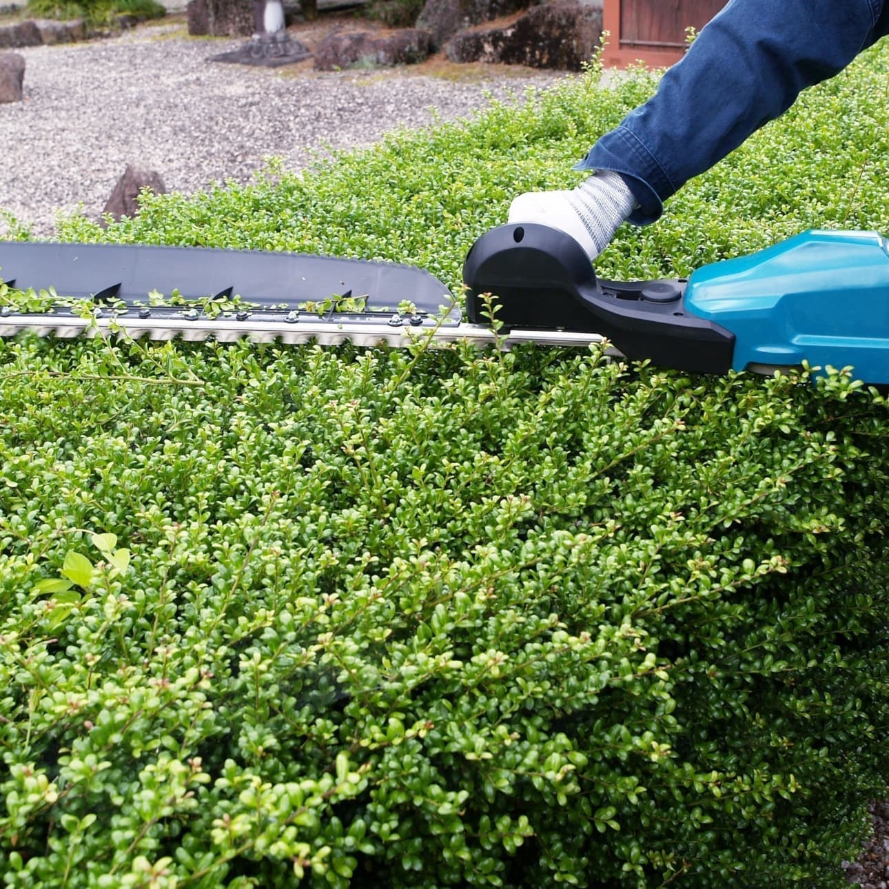 植込み剪定 半田市 | 半田市で庭木の植込み剪定ならお庭の窓口半田市