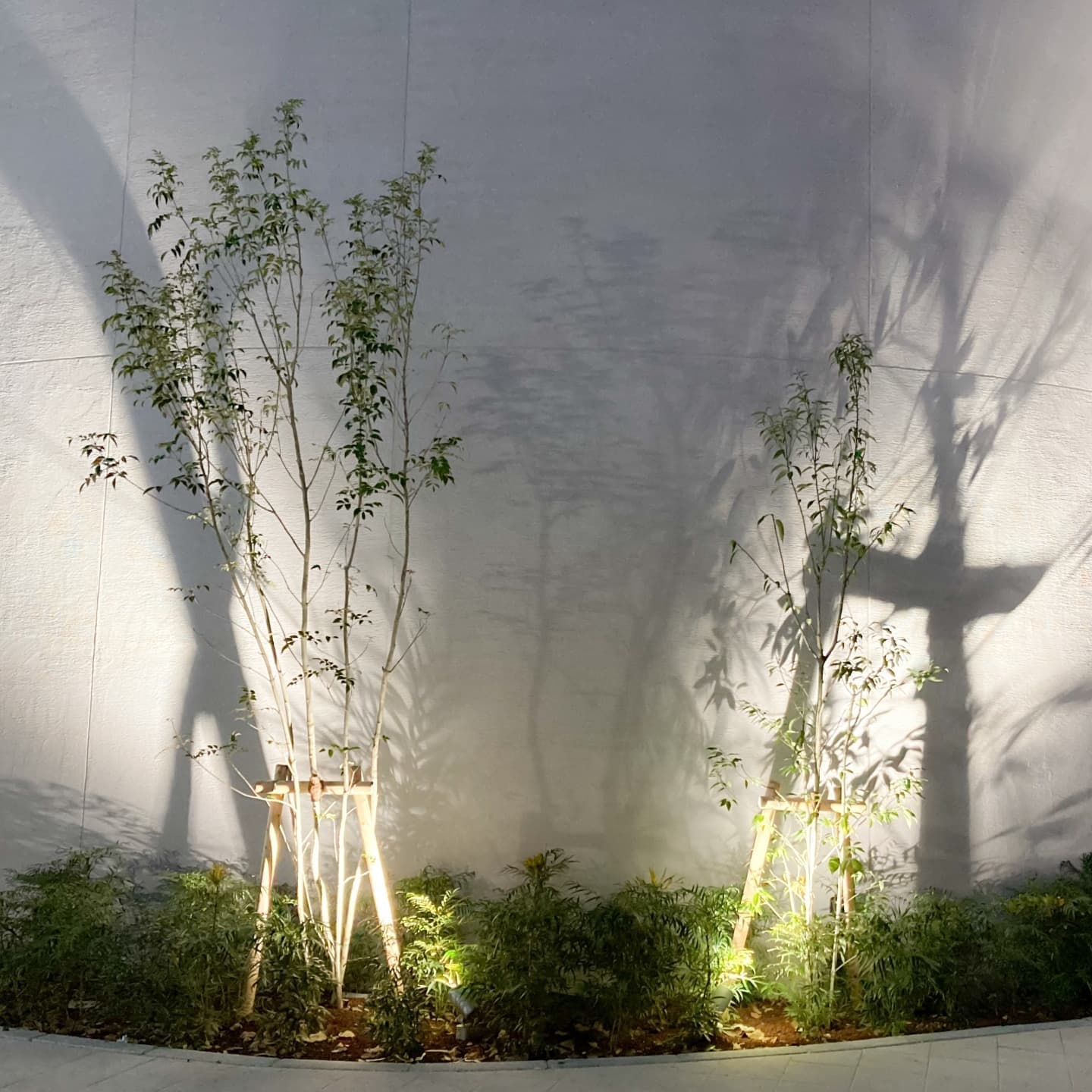 庭木の植栽 半田市 | 半田市で庭木の植栽ならお庭の窓口半田市