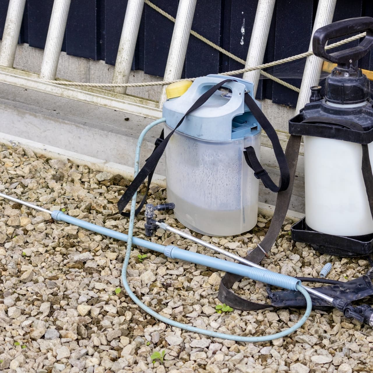 庭木の消毒・害虫対策 半田市 | 半田市で庭木の消毒・害虫対策ならお庭の窓口半田市